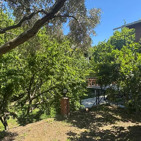 בית אירוח Ahsen *