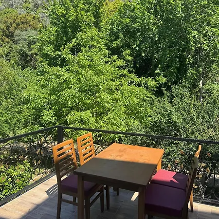 Ahsen Selçuk