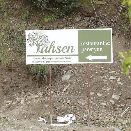 Ahsen