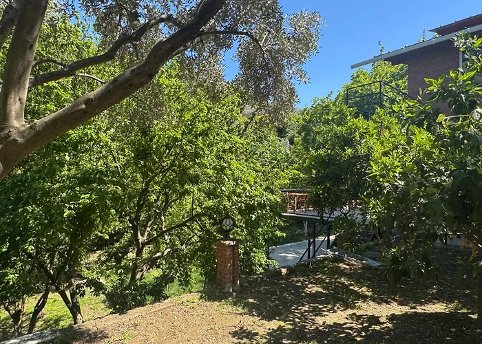 Accommodatie bij particulieren Ahsen *