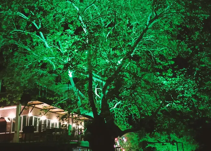 Accommodatie bij particulieren Ahsen