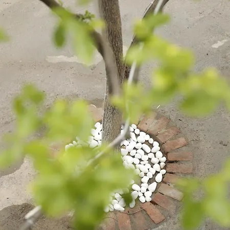 Ahsen Alloggio in famiglia *