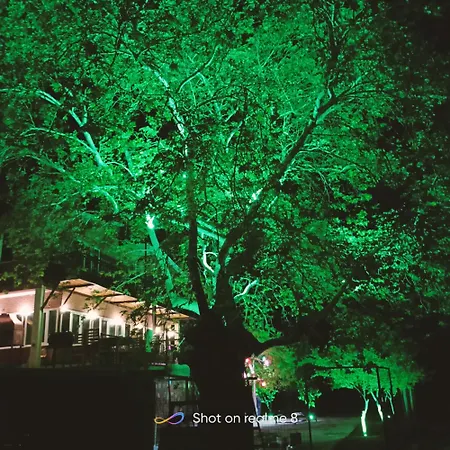 Alloggio in famiglia Ahsen