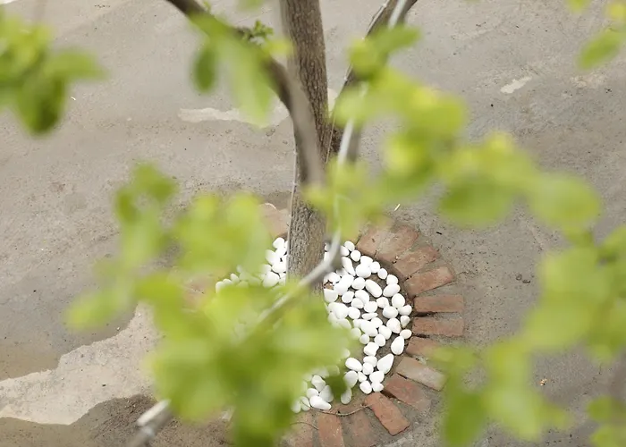 Ahsen Habitación en casa particular *