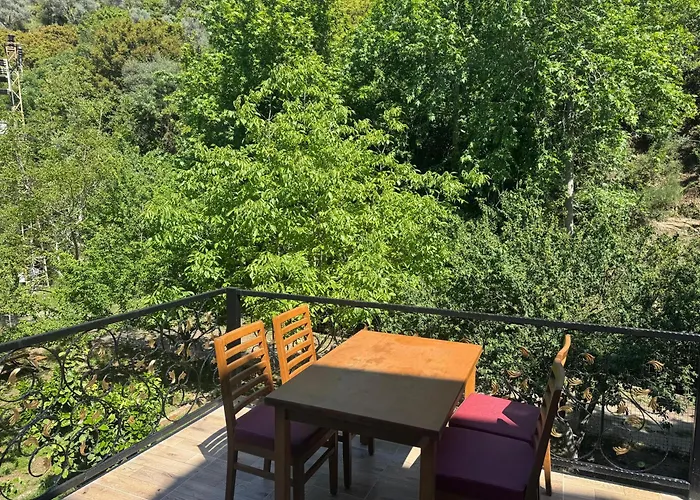 Ahsen Selçuk
